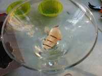 /album/galeria/repertorio-2-jpg/